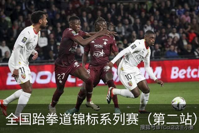 全国跆拳道锦标系列赛（第二站）第三日 冀晋浙苏各得一金