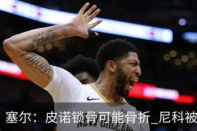 塞尔：皮诺锁骨可能骨折 尼科被铲伤可能提前结束世界杯之旅