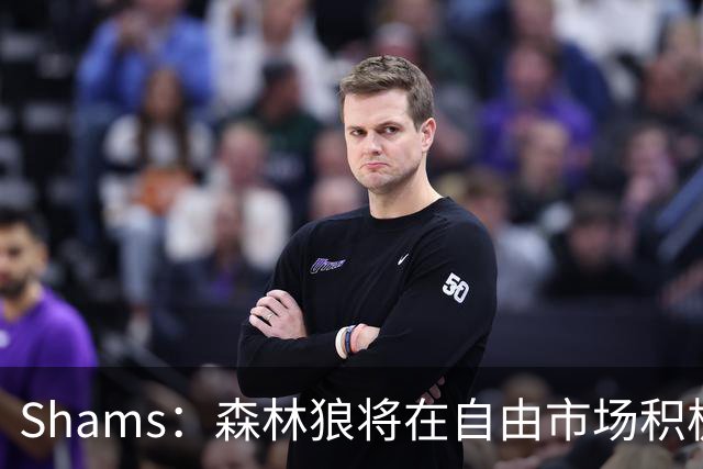 Shams：森林狼将在自由市场积极补强4号位 但他们只能提供底薪