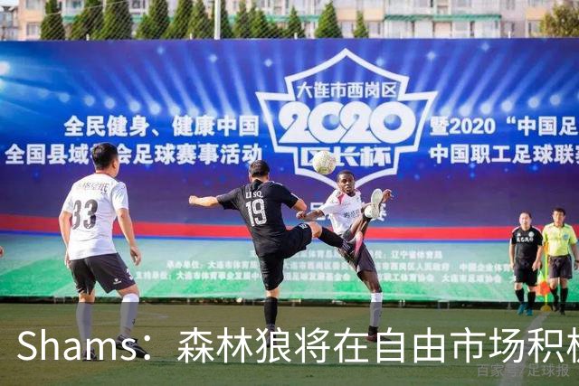 Shams：森林狼将在自由市场积极补强4号位 但他们只能提供底薪